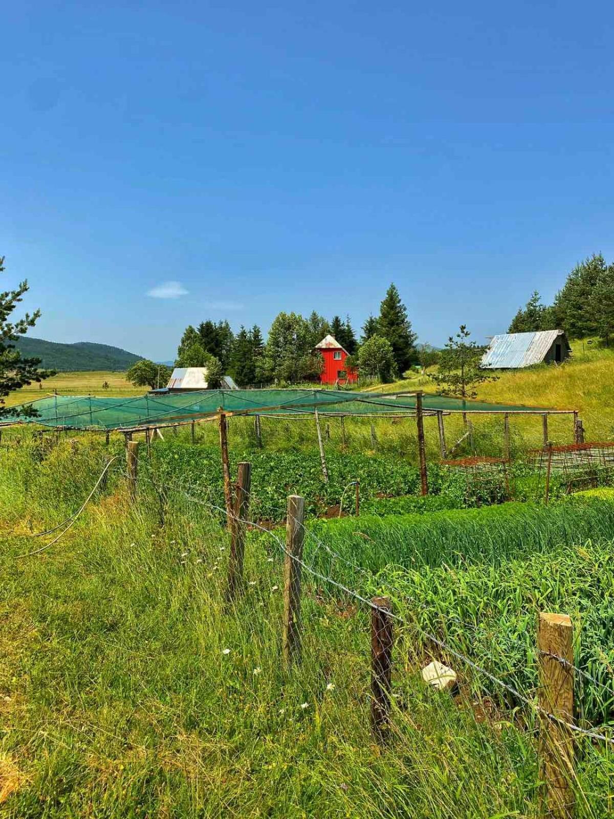 Vukov Konak - Wolf'S Lodge Žabljak Esterno foto
