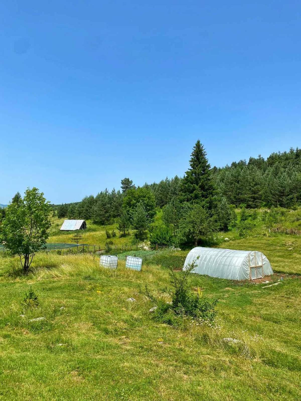 Vukov Konak - Wolf'S Lodge Žabljak Esterno foto