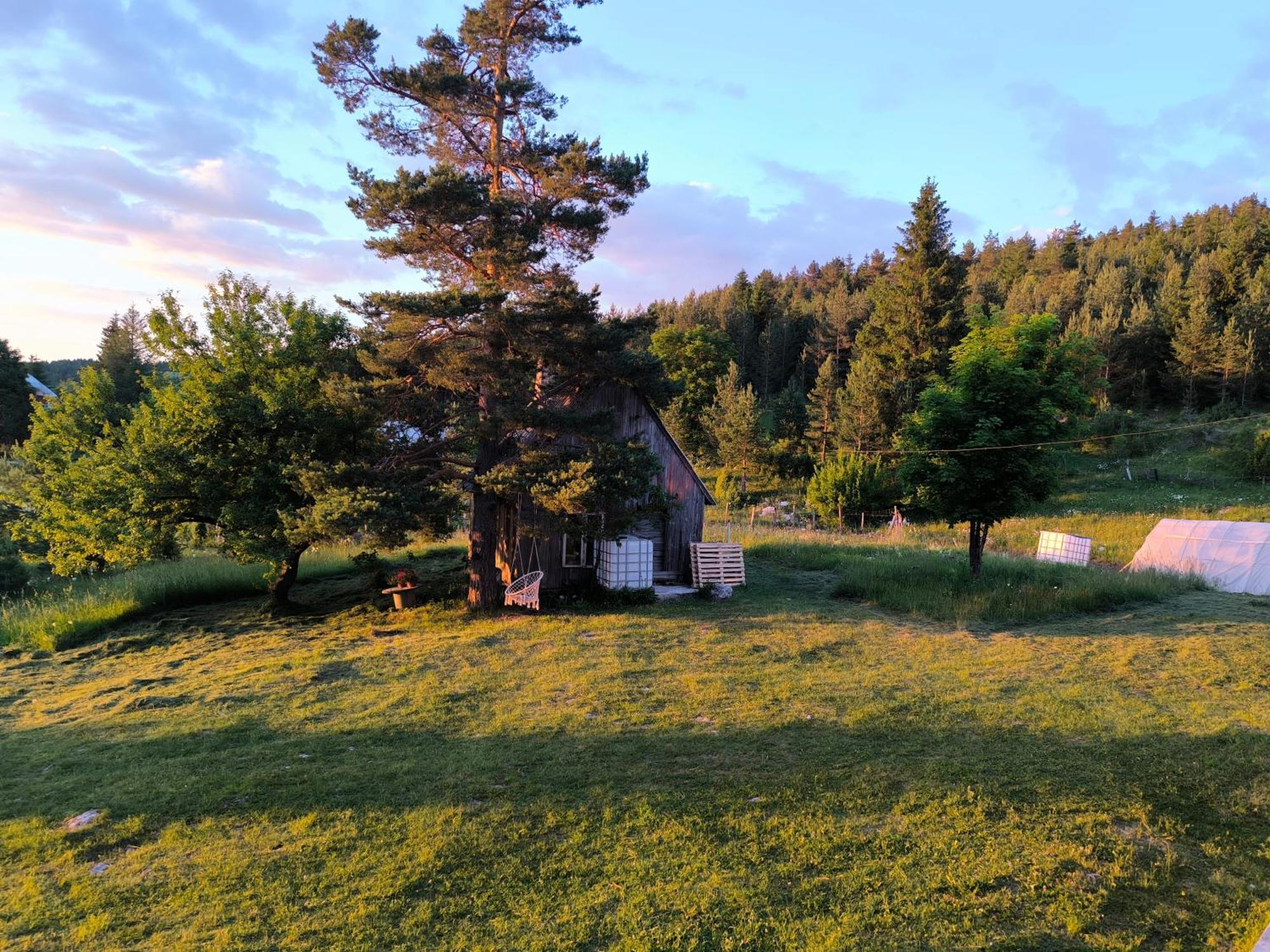 Vukov Konak - Wolf'S Lodge Žabljak Esterno foto
