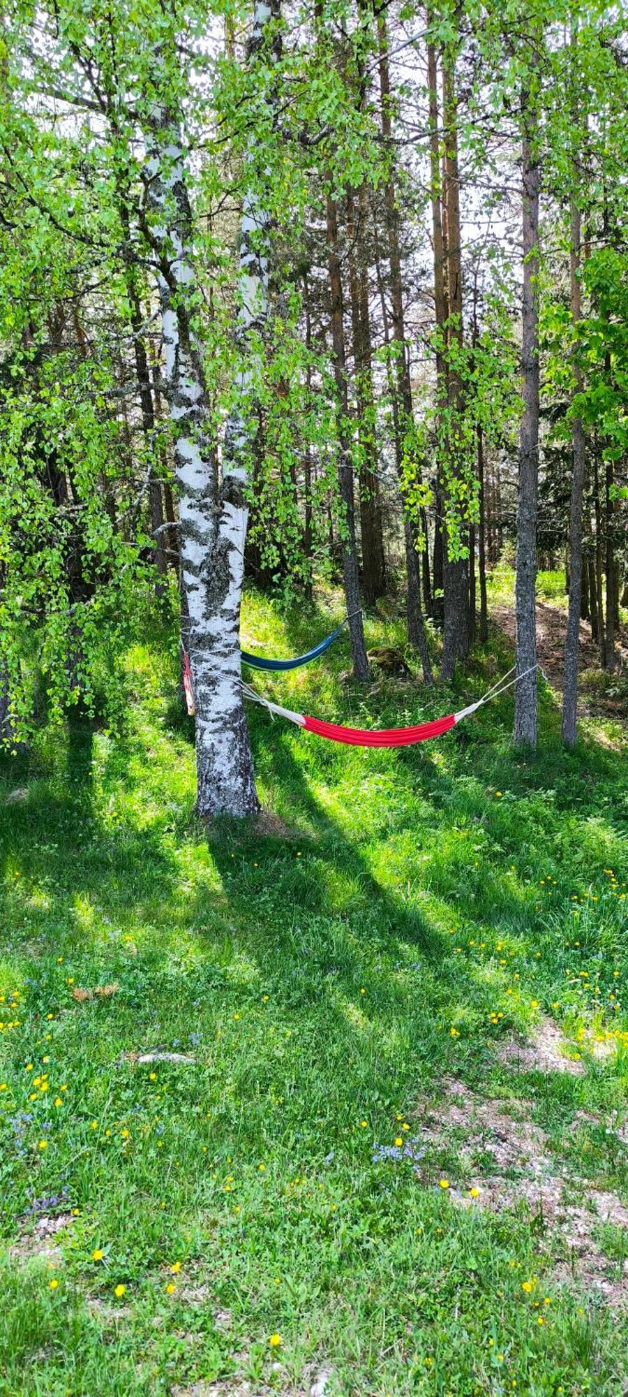 Vukov Konak - Wolf'S Lodge Žabljak Esterno foto