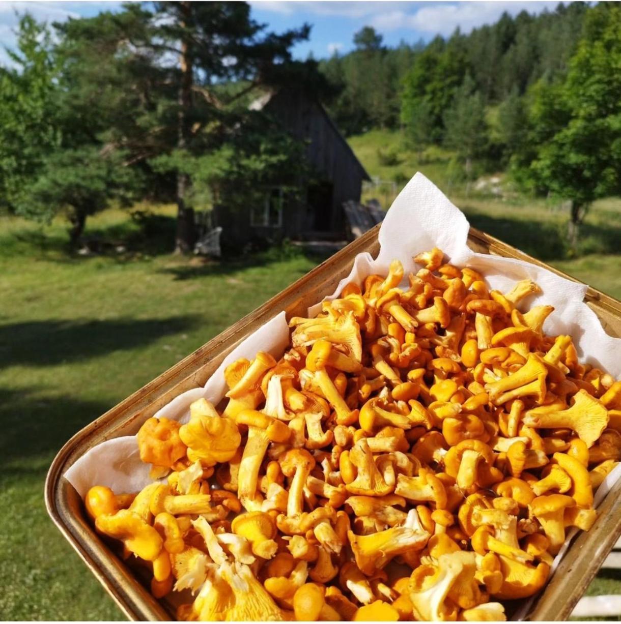 Vukov Konak - Wolf'S Lodge Žabljak Esterno foto