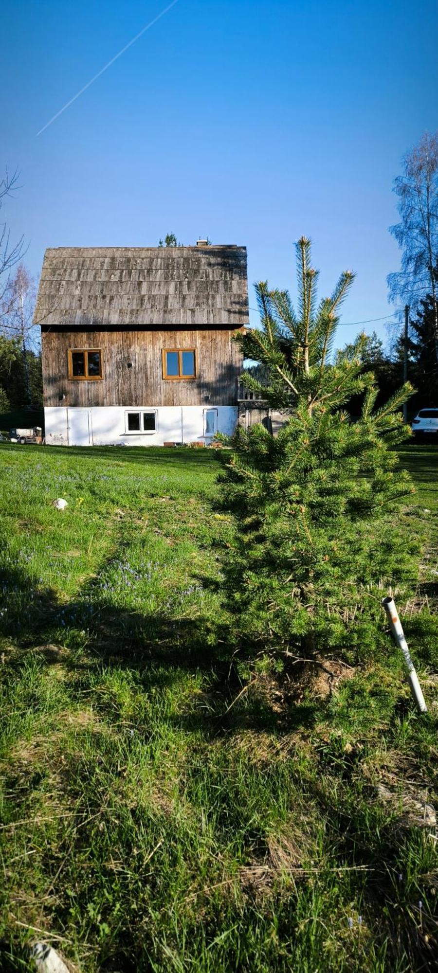 Vukov Konak - Wolf'S Lodge Žabljak Esterno foto